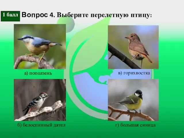 Вопрос 4. Выберите перелетную птицу: а) поползень б) белоспинный дятел в) горихвостка г) большая синица