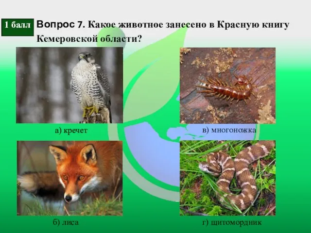 Вопрос 7. Какое животное занесено в Красную книгу Кемеровской области? а)