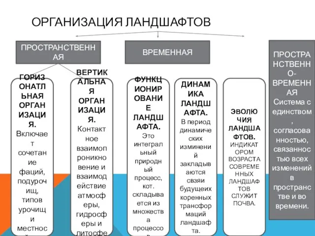 ОРГАНИЗАЦИЯ ЛАНДШАФТОВ ПРОСТРАНСТВЕННАЯ ПРОСТРАНСТВЕННО-ВРЕМЕННАЯ Система с единством, согласованностью, связанностью всех изменений