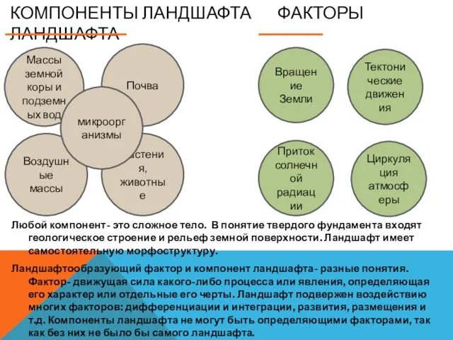 Почва КОМПОНЕНТЫ ЛАНДШАФТА ФАКТОРЫ ЛАНДШАФТА Любой компонент- это сложное тело. В