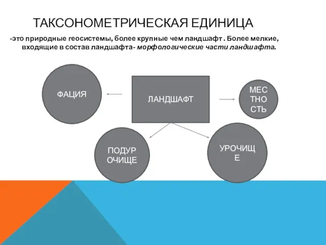 ТАКСОНОМЕТРИЧЕСКАЯ ЕДИНИЦА -это природные геосистемы, более крупные чем ландшафт . Более