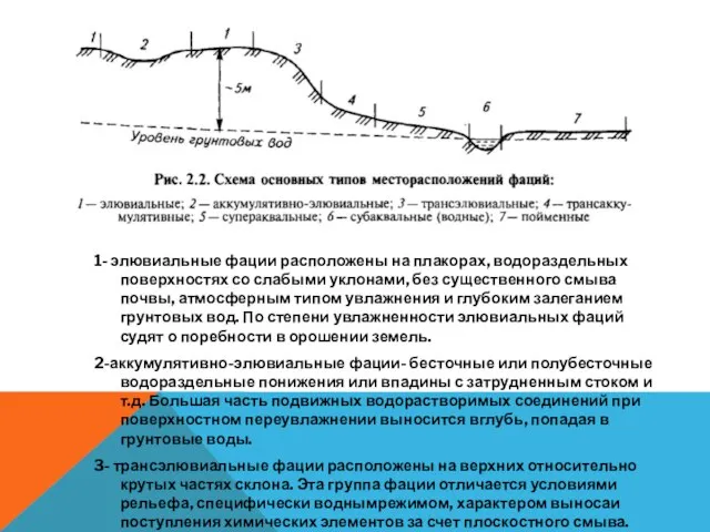 1- элювиальные фации расположены на плакорах, водораздельных поверхностях со слабыми уклонами,