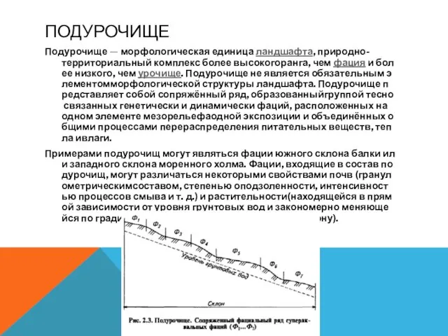 ПОДУРОЧИЩЕ Подурочище — морфологическая единица ландшафта, природно-территориальный комплекс более высокогоранга, чем