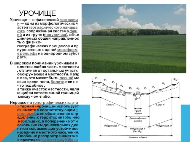 УРОЧИЩЕ Урочище — в физической географии — одна из морфологических частей