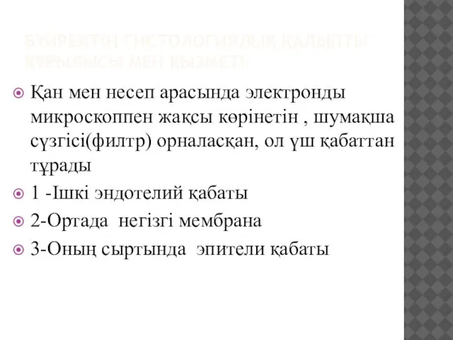 БҮЙРЕКТІҢ ГИСТОЛОГИЯЛЫҚ ҚАЛЫПТЫ ҚҰРЫЛЫСЫ МЕН ҚЫЗМЕТІ: Қан мен несеп арасында электронды