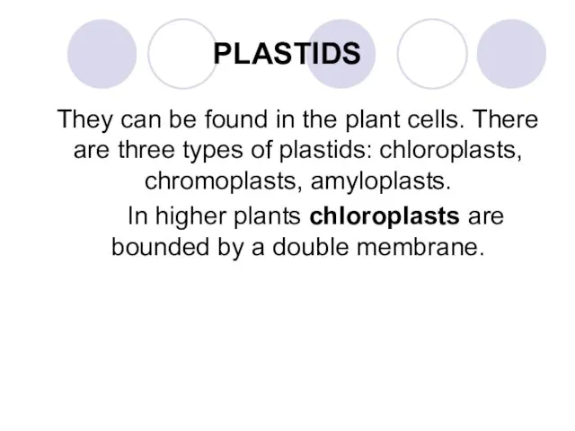 PLASTIDS They can be found in the plant cells. There are