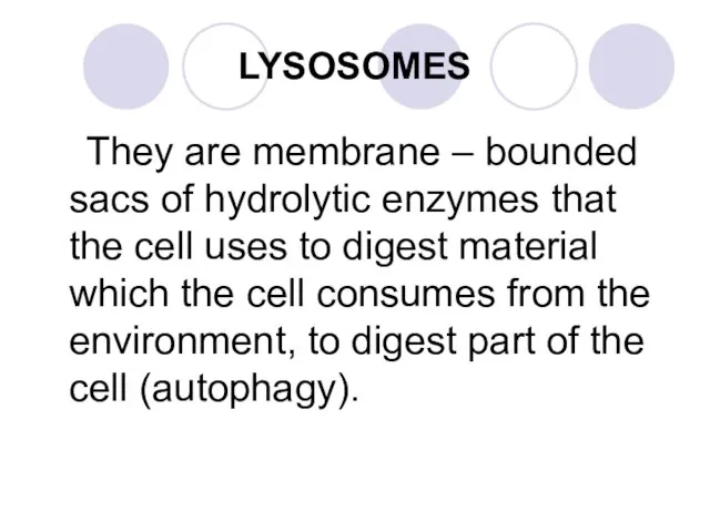 LYSOSOMES They are membrane – bounded sacs of hydrolytic enzymes that