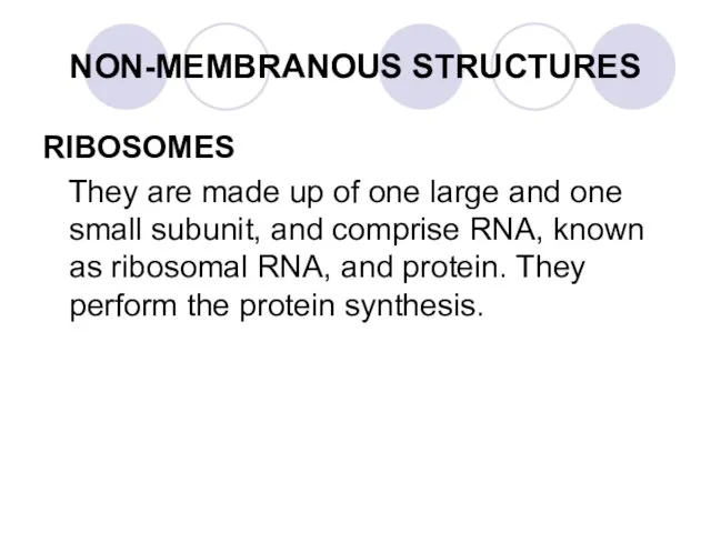 RIBOSOMES They are made up of one large and one small