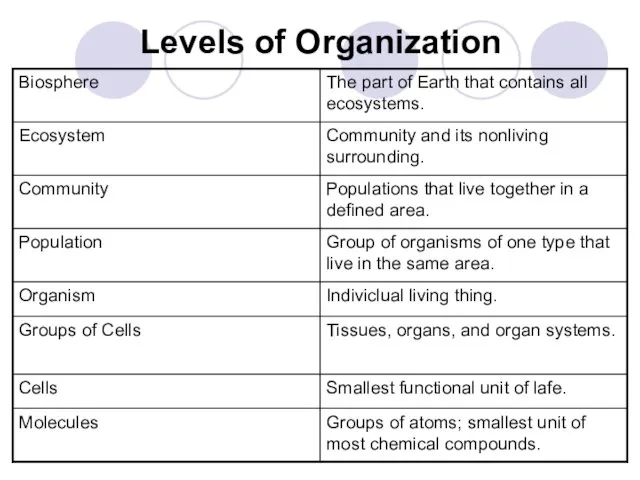 Levels of Organization