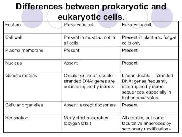 Differences between prokaryotic and eukaryotic cells.