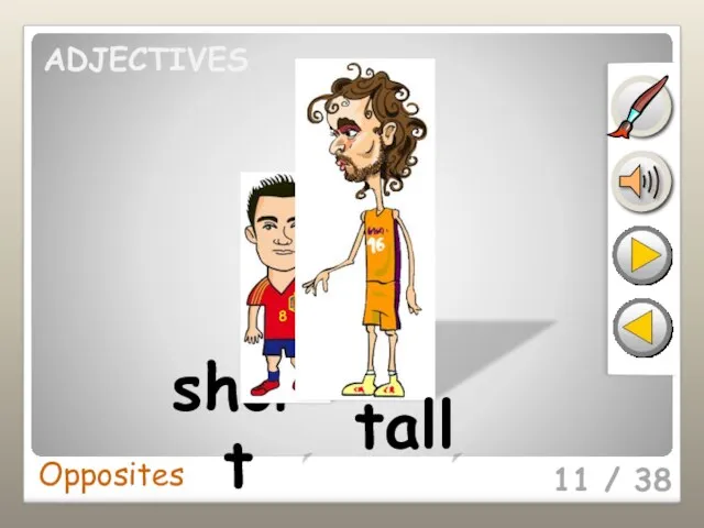 11 / 38 short tall Opposites ADJECTIVES