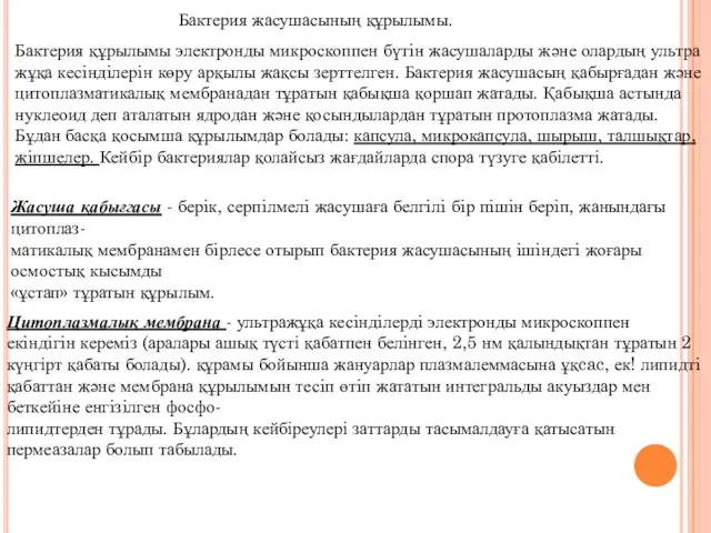 Бактерия жасушасының құрылымы. Бактерия құрылымы электронды микроскоппен бүтiн жасушаларды және олардың