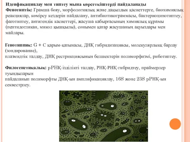 Иденфикациялау мен типтеу мына көрсеткіштерді пайдаланады Фенотиптік: Грамша бояу, морфологиялық және