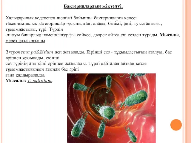 Бактериялардын жiктелуi. Халықаралык кодекспен шешiмi бойынша бактерияларға келесi таксономиялық категориялар -ұсынылған: