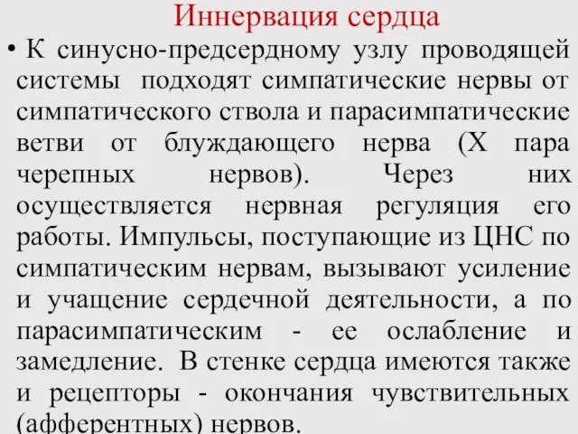 Иннервация сердца К синусно-предсердному узлу проводящей системы подходят симпатические нервы от