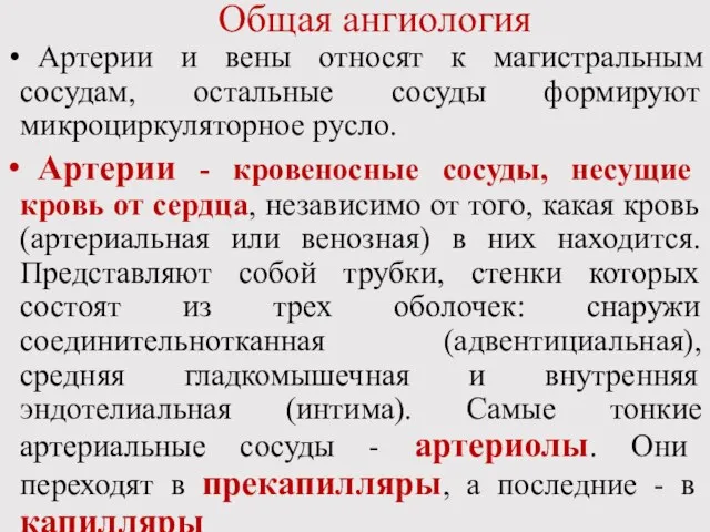 Общая ангиология Артерии и вены относят к магистральным сосудам, остальные сосуды