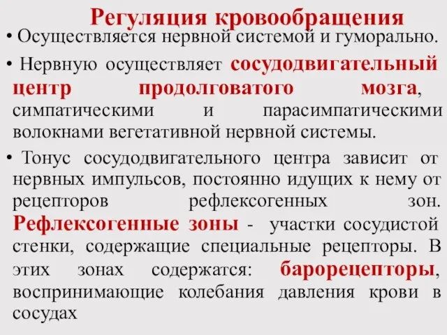 Регуляция кровообращения Осуществляется нервной системой и гуморально. Нервную осуществляет сосудодвигательный центр