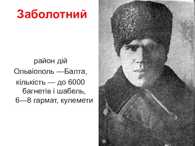 Заболотний район дій Ольвіополь —Балта, кількість — до 6000 багнетів і шабель, 6—8 гармат, кулемети