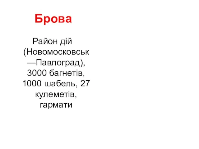 Брова Район дій (Новомосковськ—Павлоград), 3000 багнетів, 1000 шабель, 27 кулеметів, гармати