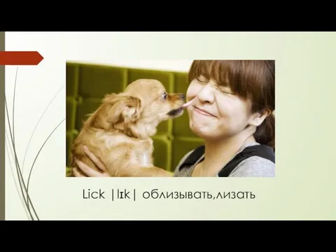Lick |lɪk| облизывать,лизать