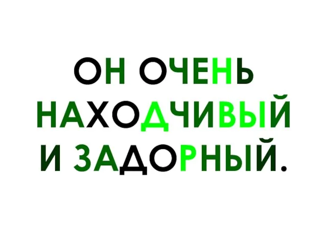 ОН ОЧЕНЬ НАХОДЧИВЫЙ И ЗАДОРНЫЙ.