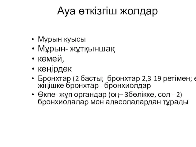 Ауа өткізгіш жолдар Мұрын қуысы Мұрын- жұтқыншақ көмей, кеңірдек Бронхтар (2