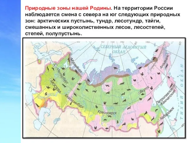 Природные зоны нашей Родины. На территории России наблюдается смена с севера