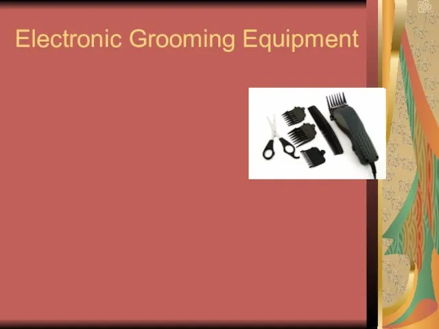 Electronic Grooming Equipment