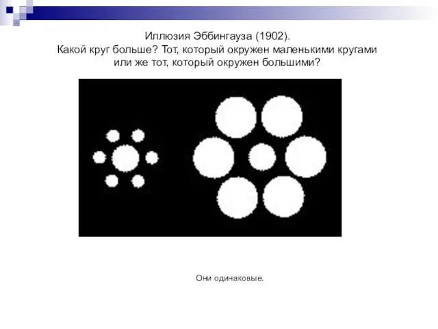 Иллюзия Эббингауза (1902). Какой круг больше? Тот, который окружен маленькими кругами