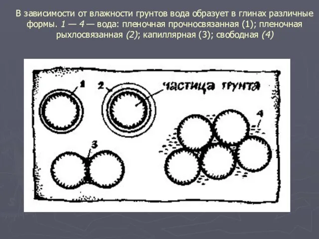 В зависимости от влажности грунтов вода образует в глинах различные формы.