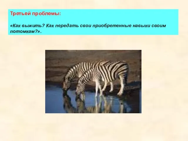 Третьей проблемы: «Как выжить? Как передать свои приобретенные навыки своим потомкам?».