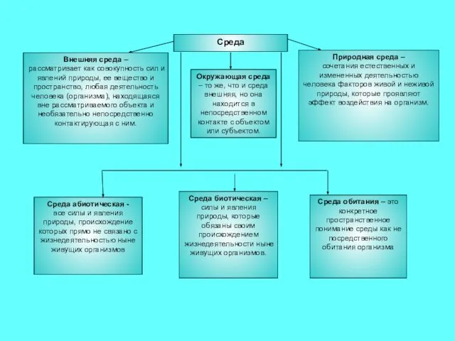 Среда Внешняя среда – рассматривает как совокупность сил и явлений природы,