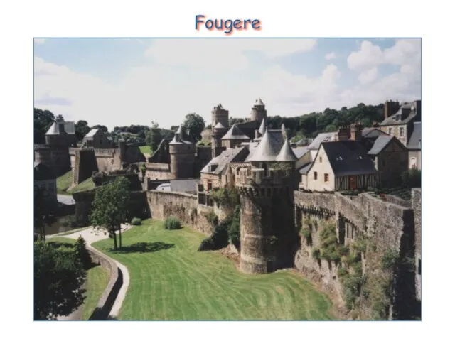 Fougere