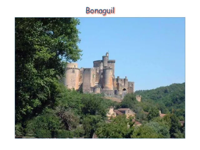 Bonaguil