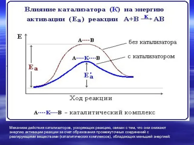 Механизм действия катализаторов, ускоряющих реакцию, связан с тем, что они снижают