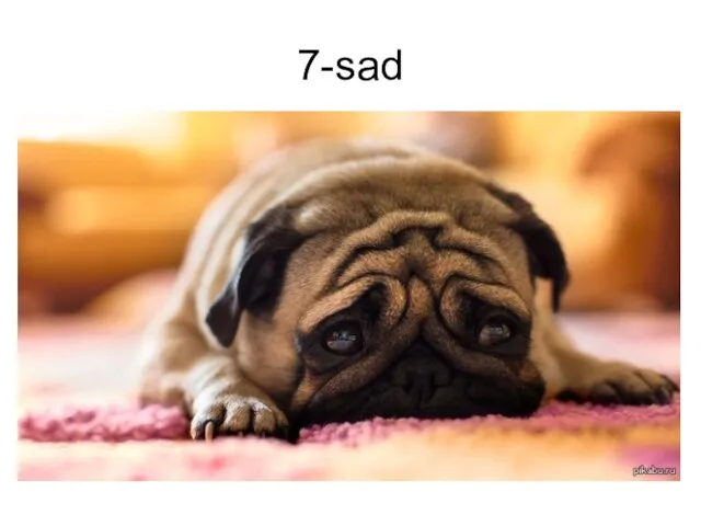 7-sad