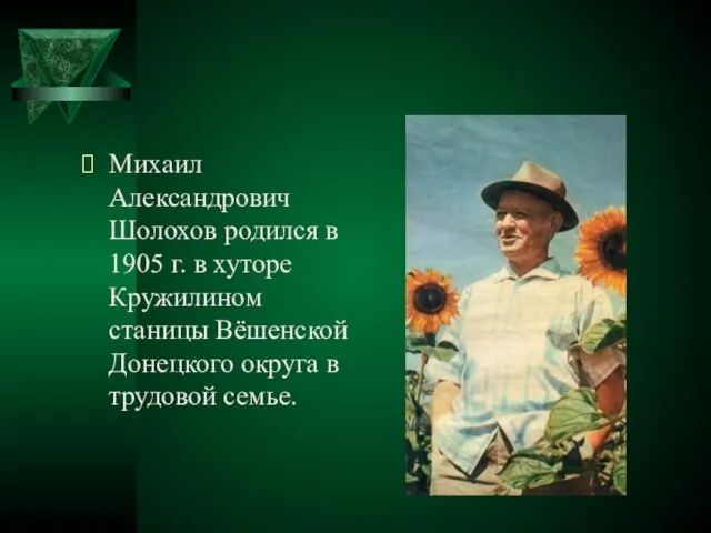 Михаил Александрович Шолохов родился в 1905 г. в хуторе Кружилином станицы
