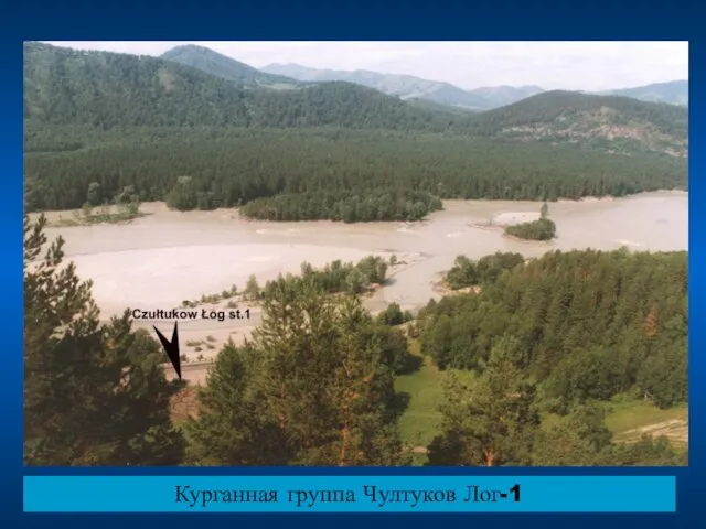 Курганная группа Чултуков Лог-1