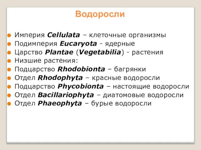 Водоросли Империя Cellulata – клеточные организмы Подимперия Eucaryota - ядерные Царство