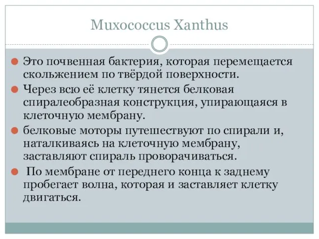 Muxococcus Xanthus Это почвенная бактерия, которая перемещается скольжением по твёрдой поверхности.