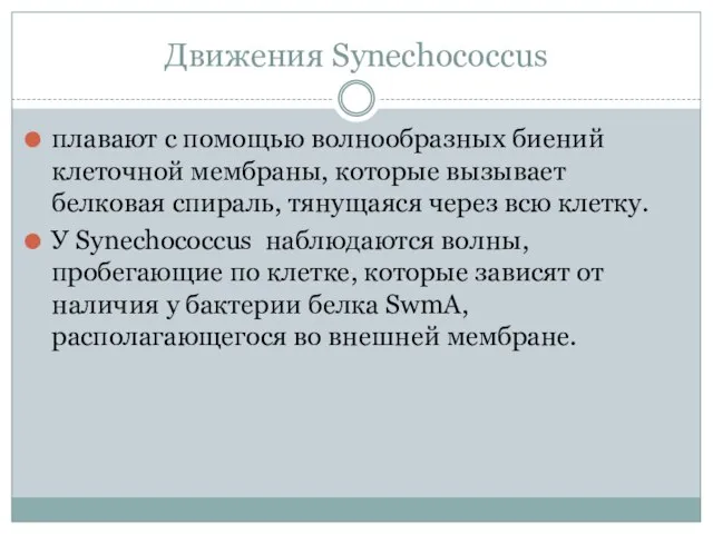 Движения Synechococcus плавают с помощью волнообразных биений клеточной мембраны, которые вызывает