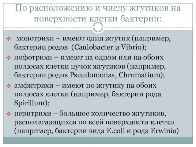 По расположению и числу жгутиков на поверхности клетки бактерии: монотрихи –