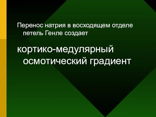 Перенос натрия в восходящем отделе петель Генле создает кортико-медулярный осмотический градиент