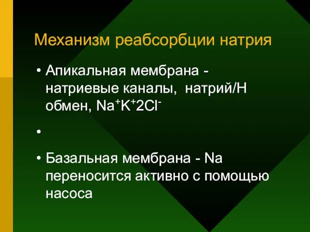 Механизм реабсорбции натрия Апикальная мембрана - натриевые каналы, натрий/Н обмен, Na+K+2Cl-