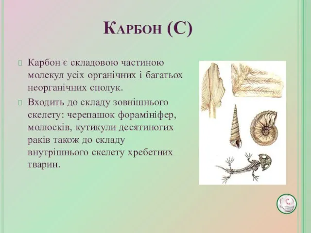 Карбон є складовою частиною молекул усіх органічних і багатьох неорганічних сполук.