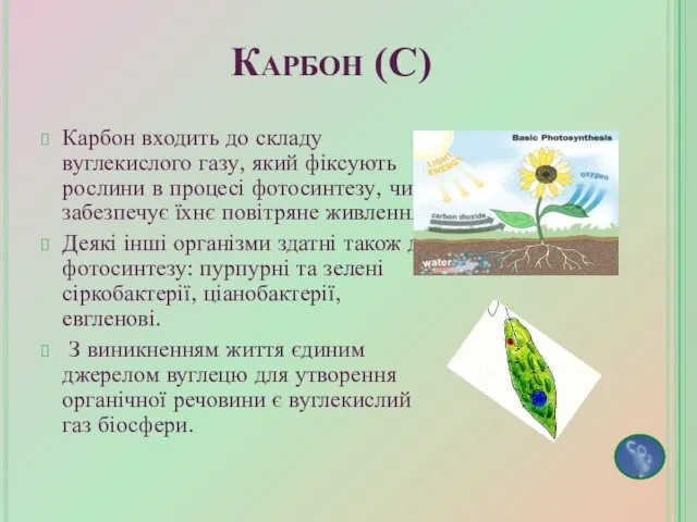 Карбон входить до складу вуглекислого газу, який фіксують рослини в процесі