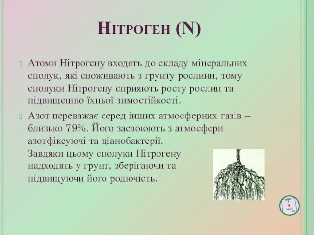 Атоми Нітрогену входять до складу мінеральних сполук, які споживають з грунту