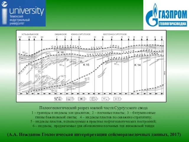 (А.А. Нежданов Геологическая интерпретация сейсморазведочных данных, 2017) Палеогеологический разрез южной части