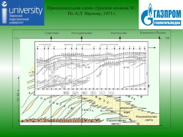 Принципиальная схема строения неокома ЗС. По А.Л. Наумову, 1973 г.