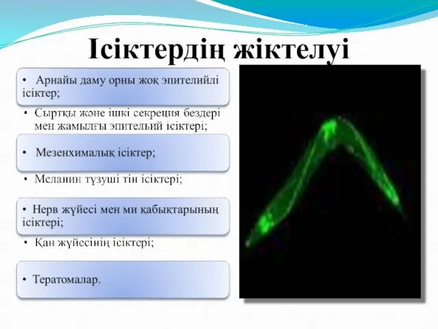 Ісіктердің жіктелуі